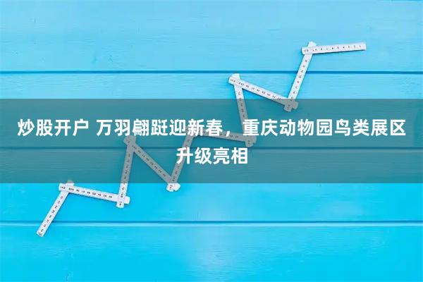 炒股开户 万羽翩跹迎新春，重庆动物园鸟类展区升级亮相