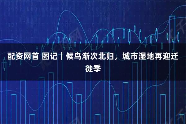 配资网首 图记｜候鸟渐次北归，城市湿地再迎迁徙季